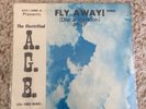 The Electrified A.G.B (All Girls Band) Fly Away  Sealed Holy Grail Disco Vinyl 