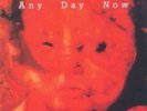 The Legendary Pink Dots - Any Day Now [New Vinyl] Ltd Ed, Rmst, Expanded Version