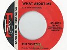 THE VISITORS  'WHAT ABOUT ME' (TANGERINE-45-1003)  45