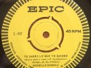 NICHELLE NICHOLS-CHILE  SINGLE NORTHERN SOUL  KNOW WHAT I MEAN M-