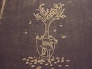 Black Moth Super Rainbow ?– Autumn Kaleidoscope Got Changed, Sing To Us 2xLP