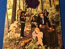 THE LITTLE BOY BLUES In The Woodland Of Weir RARE PSYCH ROCK FUZZ LP Fontana