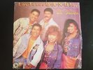 LP MERENGUE. LOS TOROS BAND - DE FIESTA. 1992 J&N RECORDS PRESSED IN VENEZUELA.