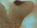 PINK FLOYD-LP- MEDDLE- HARVEST-GERMANY- MINT
