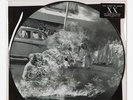 Rage Against The Machine XX 20th Anniversary Ltd. PICTURE Disc LP [Vinyl, NEW]