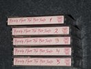 Rising from the Red Sand cassette box set (1983)