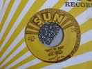 ELVIS PRESLEY THAT'S ALL RIGHT / BLUE MOON OF KENTUCKY SUN 209 2ND PRESS  RARE