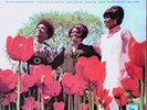 MARVELETTES - In Full Bloom (Tamla Motown STML 11145) Stereo UK Vinyl LP Album
