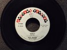PAUL REVERE AND THE RAIDERS Orbit GARDENA 106 listen  GARAGE Mad Mike