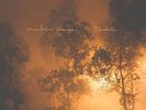 MANDOLIN ORANGE - BLINDFALLER NEW VINYL