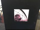 Pearl Jam VS Vitalogy Collector's Edition Box Set