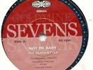 The Silhouettes  **   Not Me Baby   **   GOLDMINE SEVENS  **  GS 034 **