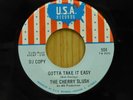 Cherry Slush DJ 45 Gotta Take It Easy bw Day Don't Come - USA VG+ garage