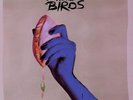 Jealous Of The Birds - The Moths Of What I Want Will Eat Me In My Sleep Vin NEU