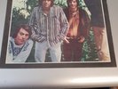 THE LOVIN' SPOONFUL