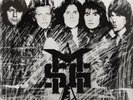 The Michael Schenker Group - S/T  Picture Disc Vinyl LP   Scorpions New & Sealed