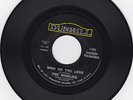 The WOOLIES Who Do You Love 1966 Dearborn, MI. Organ Garage Punk HEAR