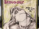 Dinosaur Jr.-You're Living All Over Me (SST Pre Name Change) Vinyl LP
