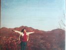 Fiddlehead - Springtime and Blind LP, Run For Cover, Have Heart, US hardcore