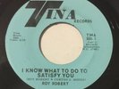 ROY ROBERT I Know What To Do To Satisfy You 45 Tina northern soul hear