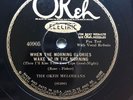 OKEH MELODIANS (SAM LANIN ORCH) - ‘A SHADY TREE’ OKEH 40905 V. DE LEATH, E+ COPY