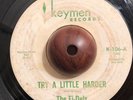 NORTHERN SOUL 45 THE FI-DELS Try A LIIttle Harder / You Never Do Right KEYMEN
