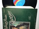 Willis Alan Ramsey Self Titled- MCA 687- VG+-/VG(+) Rarer Repress