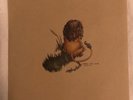 Pedro the Lion  - Whole 10