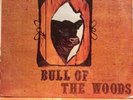 The 13th Floor Elevators- Bull of the Woods Lp vinyl record SEALED