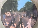 THE BEATLES YESTERDAY AND TODAY LP PICTURE DISC