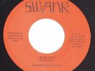 SHANE LARSON: 1960S RARE UNKNOWN SURF GARAGE ORGAN INSTR CALIFORNIA SWANK 45rpm