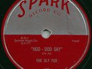 BLUES - THE SLY FOX 