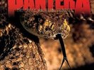 PANTERA 