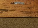 Between The Buried And Me - Coma Ecliptic Vinyl LP2 Metal Blade
