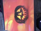 Sonic Youth Rare Package/ Inc walls have ears double vinyl LP. Plus Rare cd