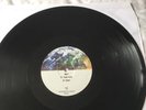Prince planet earth l.p x2 12