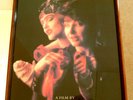 Rare Framed Kate Bush Promo Page Advert The Line The Cross & The Curve 17 x 12''