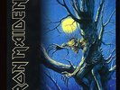 VINYL LP Iron Maiden - Fear Of The Dark / 2LP 180 Gram vinyl NM