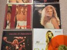 DALIDA 12