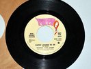 45 RPM DJ Townes Van Zandt ?– Talking Karate Blues RARE Folk 1968 Poppy pop 506