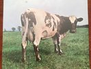 Factory Sealed Pink Floyd Atom Heart Mother Vinyl Record