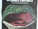 URIAH HEEP    1978    OFFENBACH    orig. CONCERT Poster   84 x 60 cm  RAR