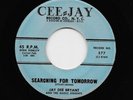 Jay Dee Bryant - Searching For Tomorrow / I Need Someone (Rhythm & Blues, 45)
