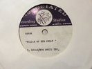 Ballad Of Ned Kelly Fotheringay ORG Acetate UK Folk Sandy Denny Trevor Lucas