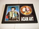 ADAM ANT  SIGNED    342