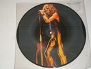 michel polnareff 25 cm picture disc(musique brigitte bardot) bien lire l annonce