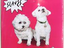 SLAVES LP Are You Satisfied 2015 Vinyl Debut album SEALED
