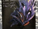 Julien Baker Turn Out the Lights Purple Vinyl LP Record UK Tour Edition OOP Rare