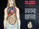 Die Form ?– Photogrammes (French post-industrial and electronic)