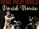 David Bowie / Nine Inch Nails - Back In Anger Vol 1 2x vinyl LP Live 1995